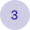 3 3
